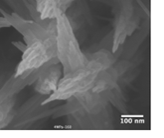 Hydrothermal Electrolysis